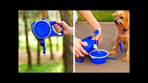 BEST PET GADGETS AND HACKS EVERY PET OWNER SHOULD KNOW