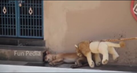 Fake Big Lion Prank Dog Jumping Funny Video Can Not Stop Laugh Must Watch New Comedy Video