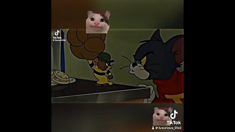 Tom and Jerry Edit By beluga