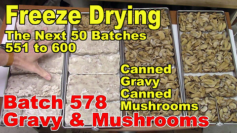 Freeze Drying - The Next 50 Batches - Batch 578 - Sausage Gravy (Canned) and Mushrooms (canned)