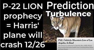 Prediction: P-22 LION prophecy = Harris' plane will crash Dec 26