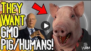 TRANSHUMANISM! Media Promotes GMO Pig-Human TRANSPLANTS! Brain IMPLANTS! This Is Evil!