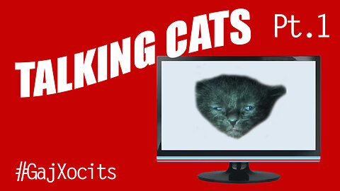 Angry Cat Videos Funny Talking Cats - Part 1 #GajXotics