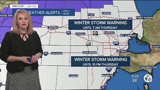 Metro Detroit is under a Winter Storm Warning