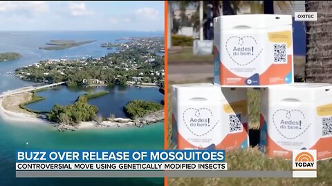 Mosquitos | "Oxitec Began Releasing 140,000 Male Eggs In 6 Locations Along the Keys That Is Part of a Live Experiment Green Lit by the EPA." - TODAY + "When It Comes to Killing Humans No Other Animal Is Nearly As Deadly As the Mosquito.&quo