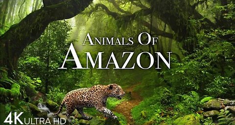 Animals_of_amazon 4k _-_Animals_that_call_the_jungle_homel_the_jungle_home