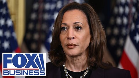 'CRUCIAL MOMENT': Democrat warns Harris about 'strategic tariffs'