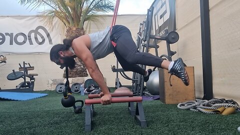 Bulk Day 65: SHOULDERS/BACK | Can You Even Planche Bro?