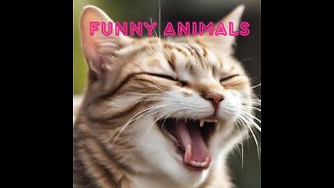 FUNNY AND CRAZY ANIMALS