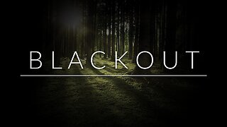 Nature Sounds | Birdsong in a Forest - Blackout | 8 Hours