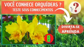 VOCÊ CONHECE ORQUIDEAS ? QUAL O NOME DESSA ORQUIDEA?DIVIRTA-SE IDENTIFICANDO ESSA ORQUÍDEA