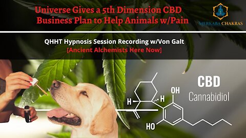 Universe Gives 5th Dimension CBD Business Plan, Help Animals w/Pain