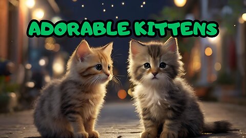 Adorable Kittens Galore: Viral Cuteness Overload!