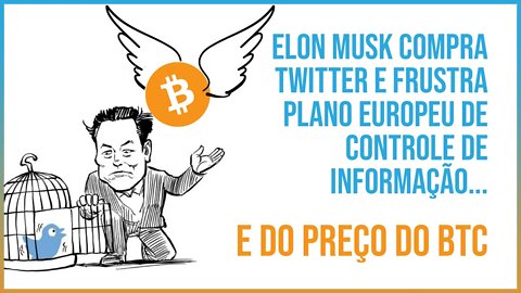 Elon Musk mira no Twitter, mas acerta no BITCOIN 🚨