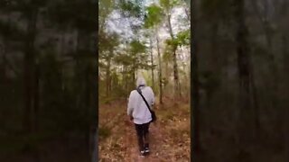 Timelapse of a hike