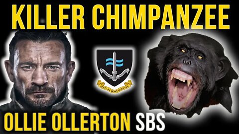 Ollie Ollerton SBS | Attacked By A Chimp | SAS Who Dares Wins | Royal Marines | Break Point
