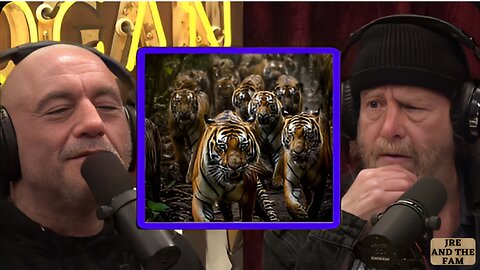 Crazy Animal Laws in Texas & Biggest Concentration of Tigers in the World