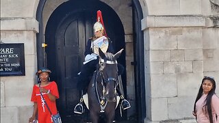 Tourist acting the fool gets a look #horseguardsparade