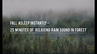 Fall Asleep Instantly- 25 Minutes Of Relaxing Rain Sound In Forest