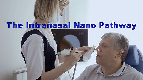 The Intranasal Nano Pathway