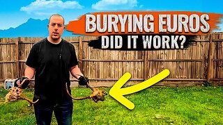 Buried 3 Euro Mounts | Did It Work?