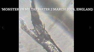 MONSTER IN MY TAP WATER - OMG!! IN ENGLAND - 'SOUTHERN WATER COMPANY'