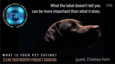 Transparency: Why Aren't Carbohydrates in Dog Food Listed On Labels