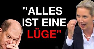 Alice Weidel (AfD) - SCHOCKIERENDE Worte an Deutschland