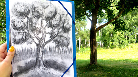 Drawing a Tree with Charcoal || Maple Tree Tutorial