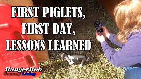 Homestead First Idaho Pasture Piglets, First Day, Lessons Learned