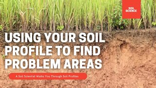 Identifying Soil Issues. How To Use Soil Profiles To Discover Issues Based On Colour & Composition