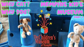 Cat and Dog Visit the Children’s Museum of Memphis in Tennessee PART I