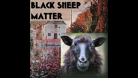 "SHEEP BLOODY SHEEP" (10-22-22 REMIX) - BY "BLACK SHEEP MATTER"