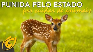 Punida pelo estado por cuidar de animais