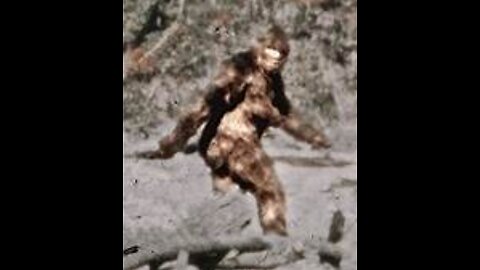 Bigfoot Recorded in Silver Point, Tennessee Video