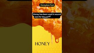 Honey: A Time-Tested Wound Healer 🍯🕰️ #honeybee #beekeeping