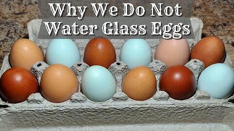 Why We Don't Water Glass Our Eggs Preserving Eggs How To Freeze Eggs Freezing Eggs