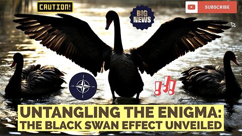 Untangling the Enigma: The Black Swan Effect Unveiled [ WARNING ] ⚠️