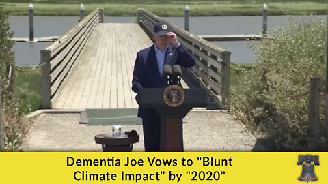 Dementia Joe Vows to "Blunt Climate Impact" by "2020"