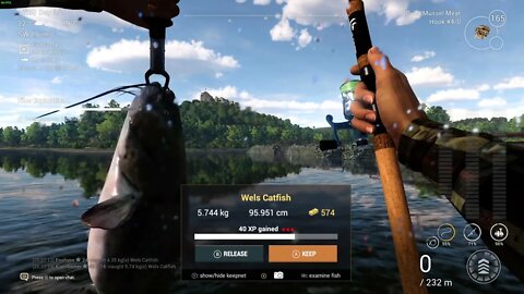 Fishing Planet Tiber River Wels Catfish