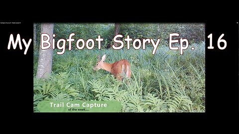 My Bigfoot Story Ep 16 - Recorded Screams & Hanging Man