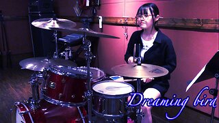 Dreaming bird 叩いてみた