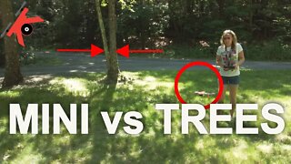 Mini 2 vs Trees #kovaction #packyourbag #dronevstree