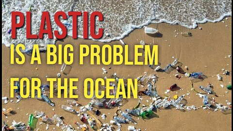 The Plastic Pollution Crisis_ Impact on Our Oceans