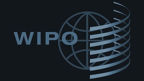 The WIPO Treaty Has Been Adopted