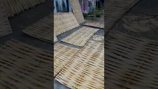 limpeza de painel de bambu,#mofo#bolor#manchas