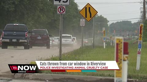 Cats thrown from car window in Riverview