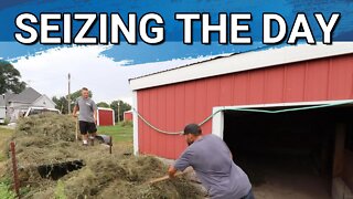 More Hay Stored For Winter Time | Dominique Chickens Moved To The Pasture