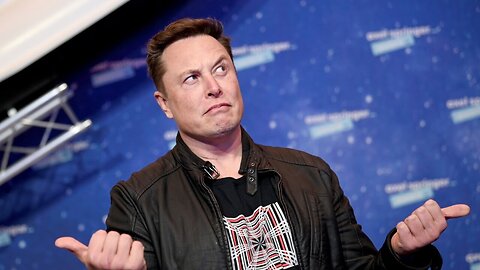 'No wonder they hate him': Elon Musk creating 'even playing field' on Twitter