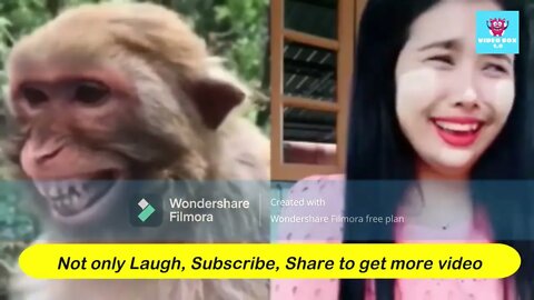 Prank Dog Very Funny - Must Watch Funny Comedy New Prank With Try To Stop Laugh